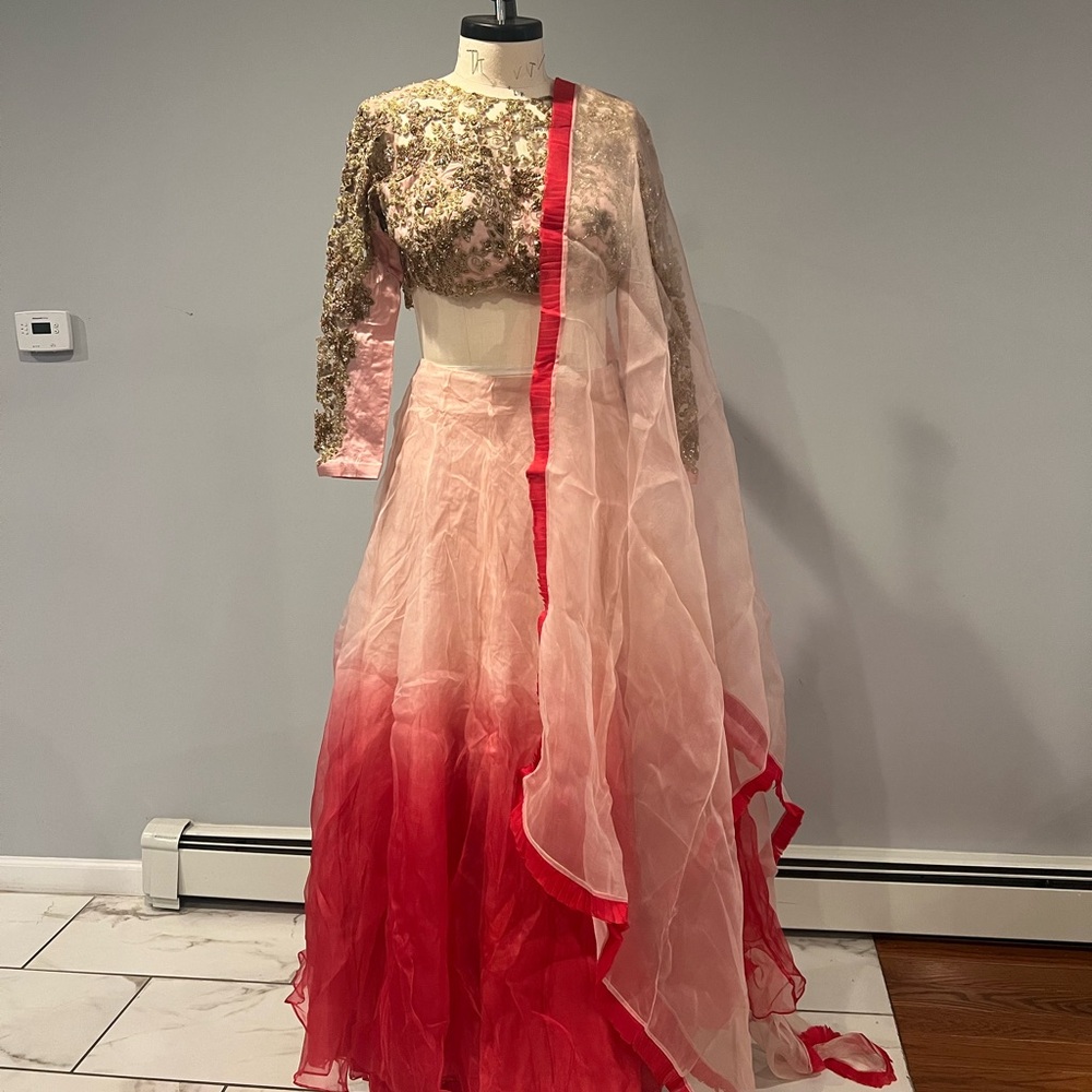 Elegant Floral Embroidered Gown with Red Ombre Skirt